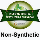 Non-Synthetic