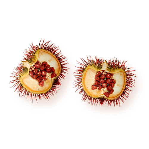 annatto